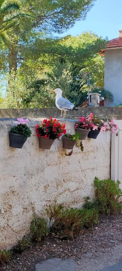 Joli Studio Les Pieds Dans L Eau Avec Place De Parking Gratuite Bandol Buitenkant foto